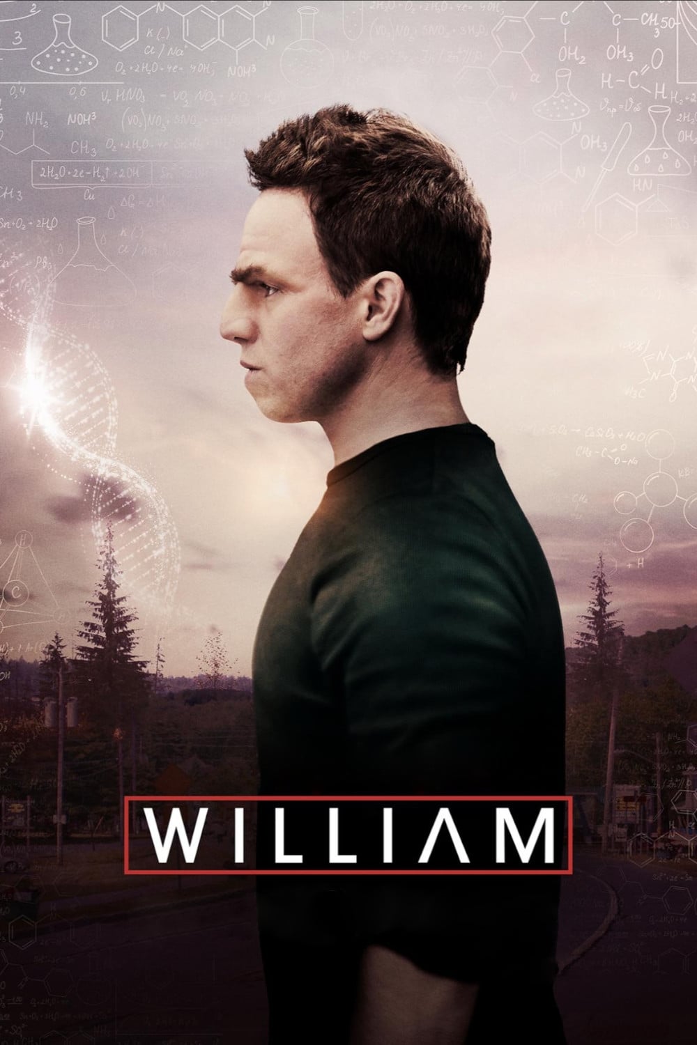 Постер William